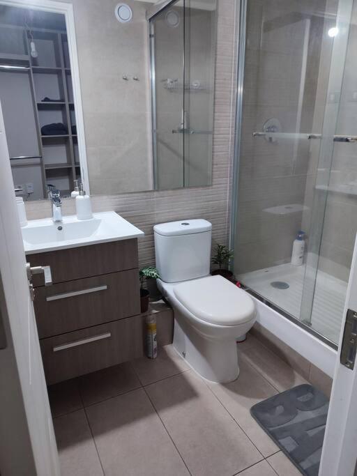 Apartamento Comodo Departamento 1d1b Para Dos Personas Santiago